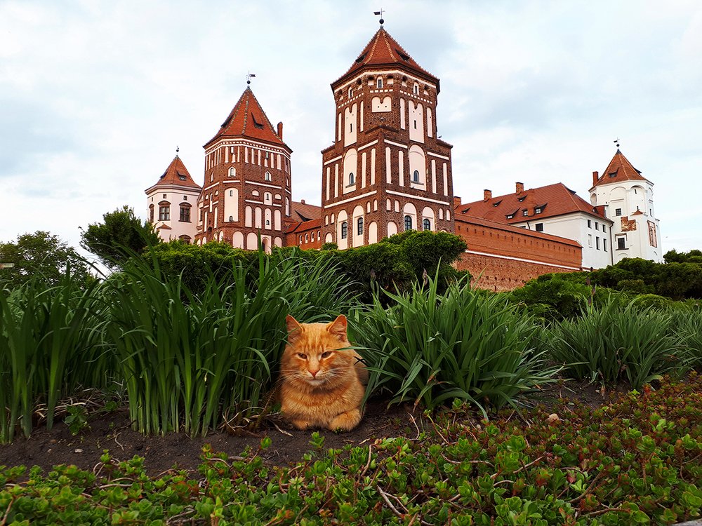 Photograph by Михаил Рассказ