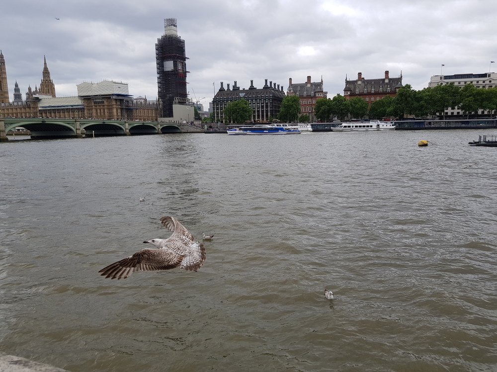 Photograph by Наталья Доброквашина