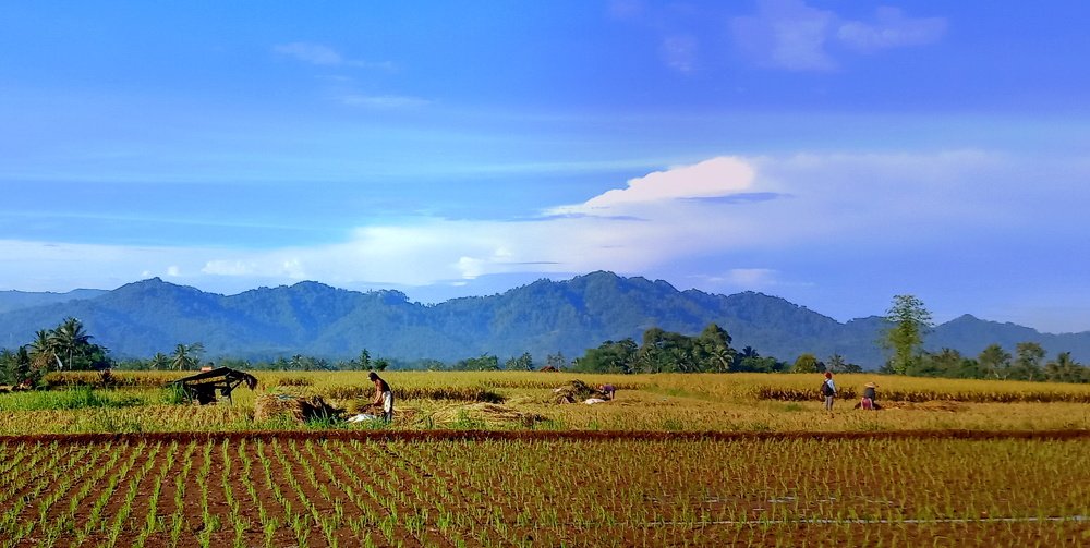 Farmer