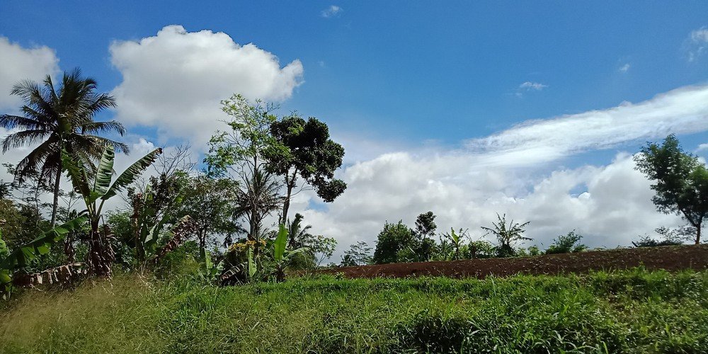 Lovely Skies