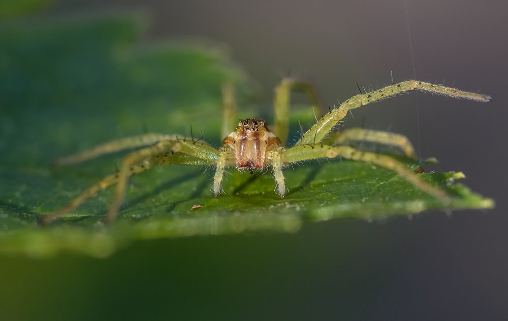 Я похож на водолаза