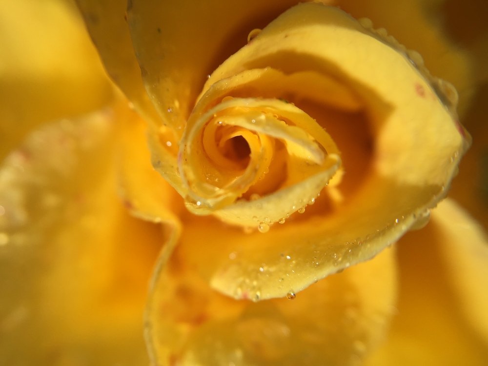 после дождя