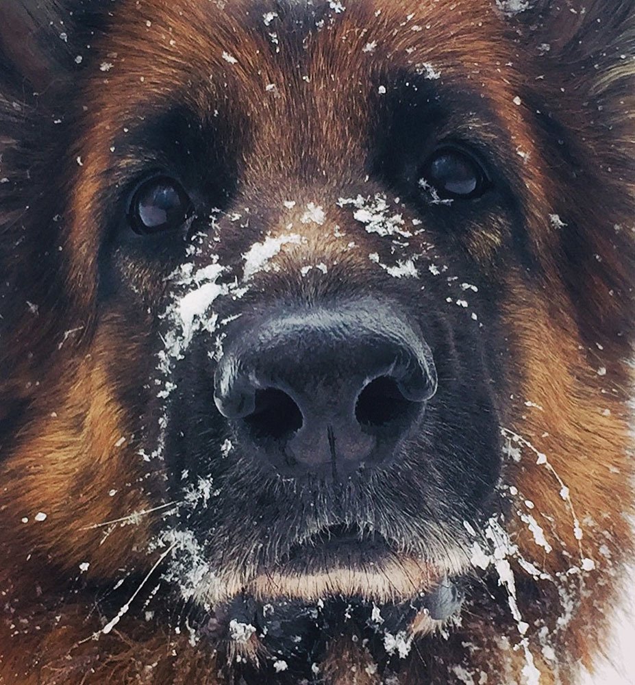 Photograph by Людмила Потапова