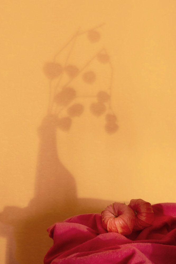 Память о маме