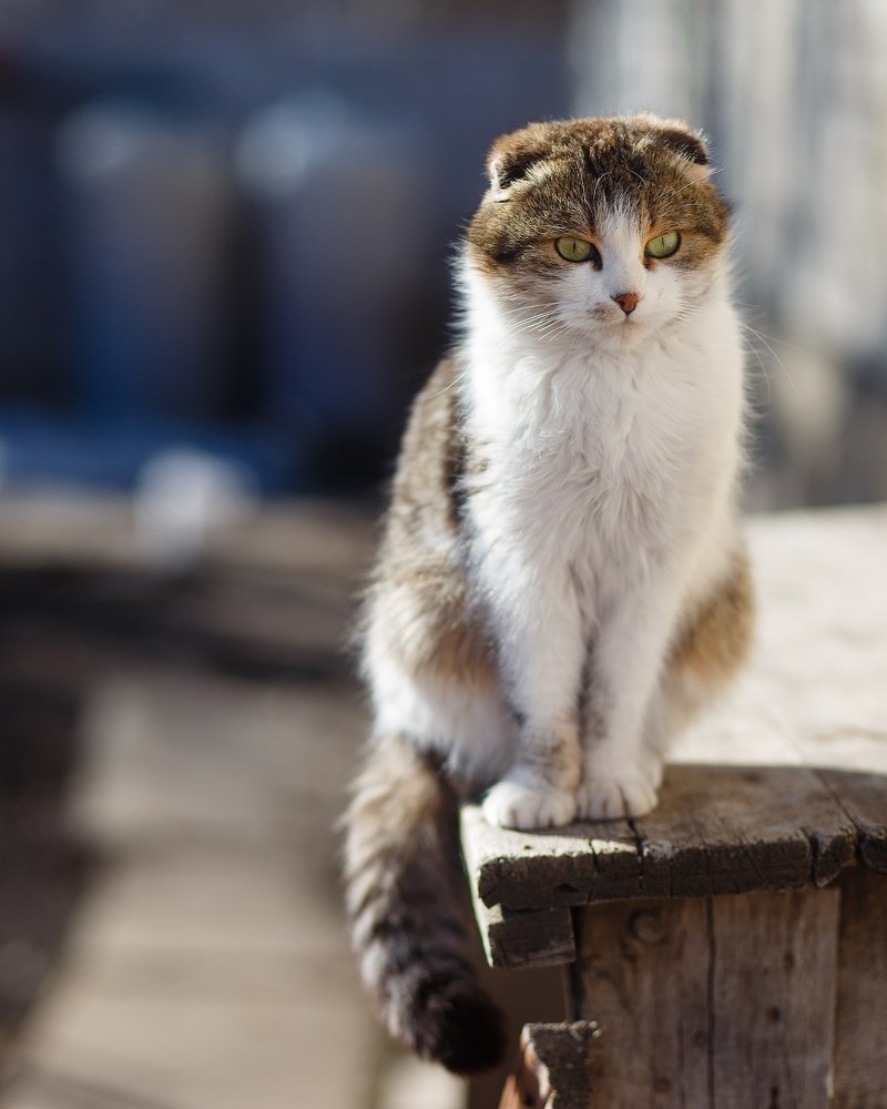 Photograph by Дарья Терещенко