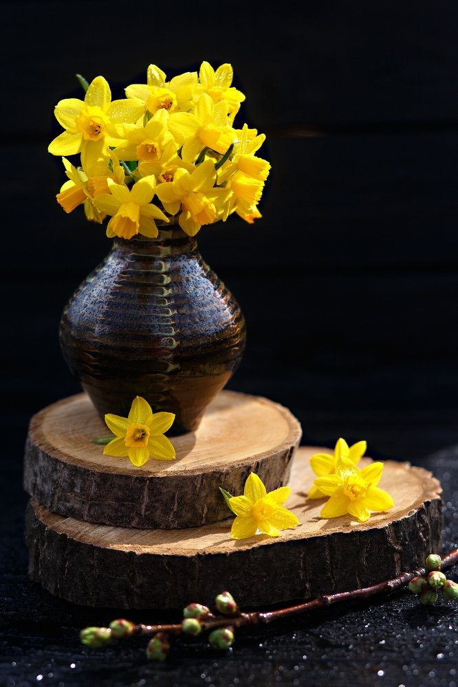 Photograph by Дарья Терещенко