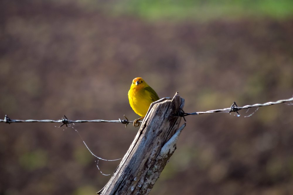 Photograph by Andre Nunes