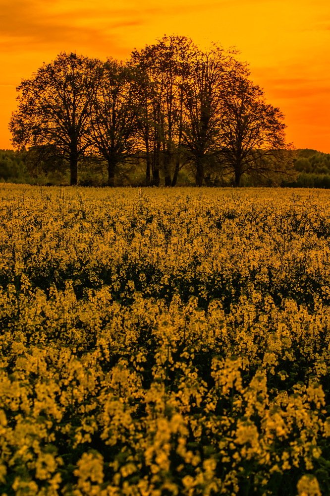 Photograph by Gaļina