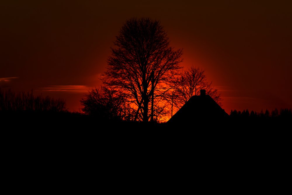 Photograph by Gaļina