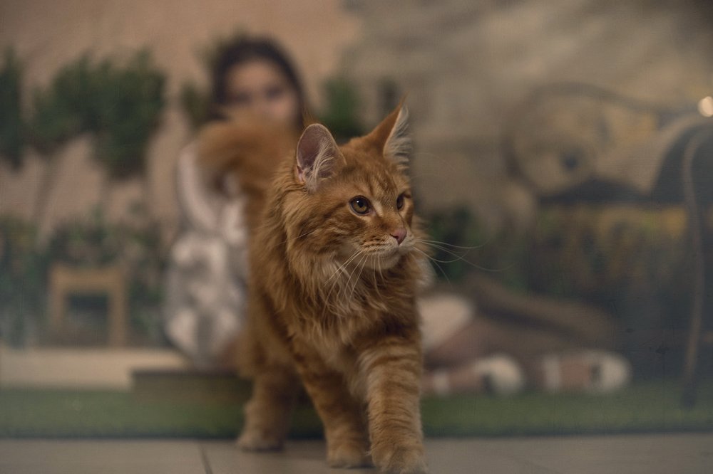 лучший друг