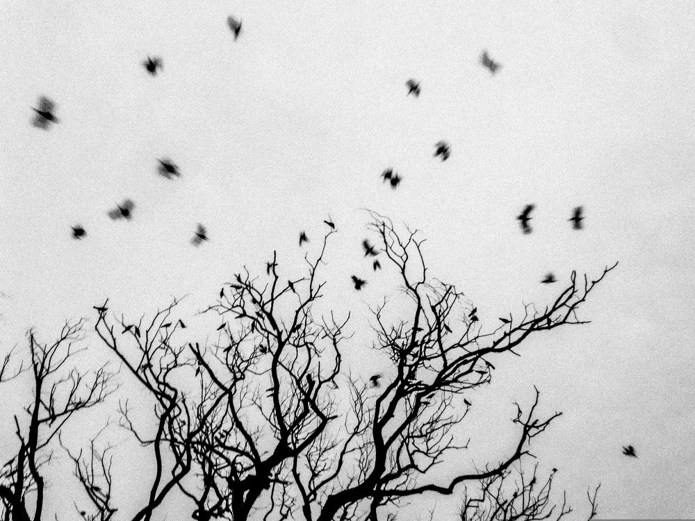 Scattered