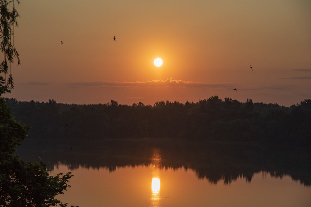 Летят к солнцу