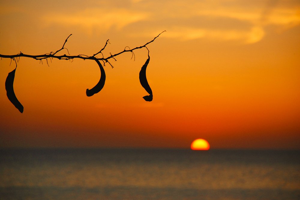 Страна восходящего солнца