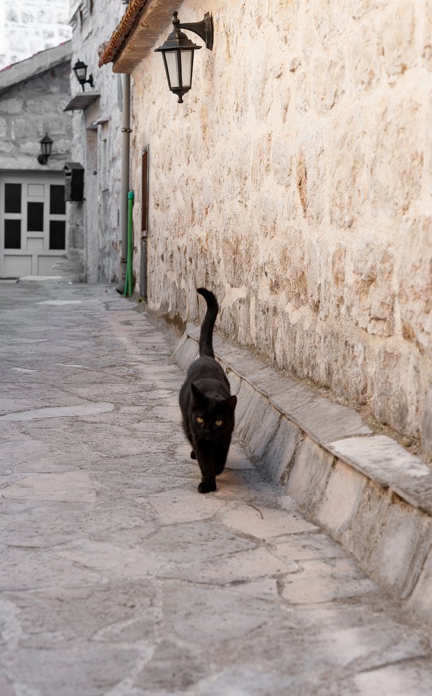 Walking on its own way