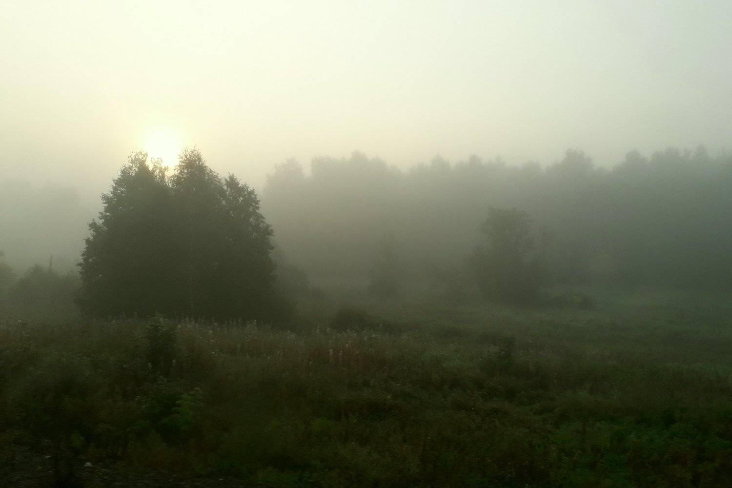 Осенний рассвет