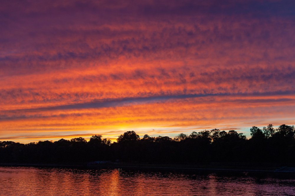 Violet flames of sunset