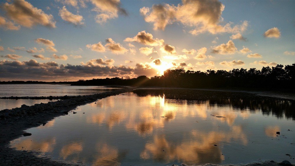 Sunset in the mangrooves