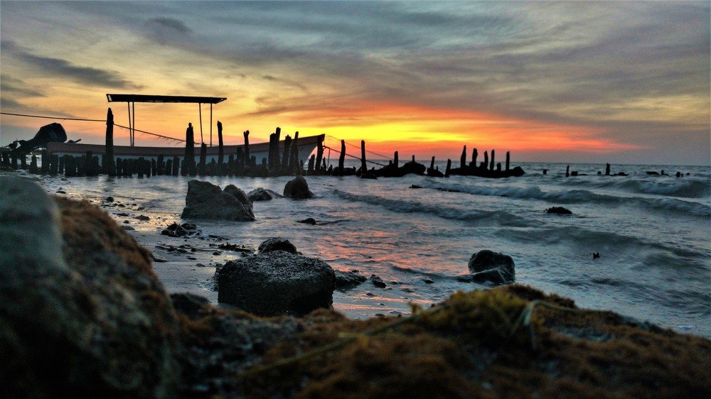 waiting the sunset