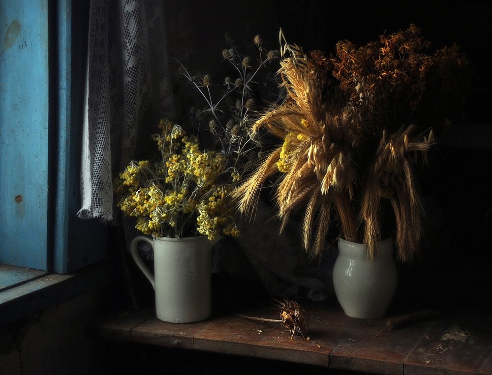 В ожидании солнца