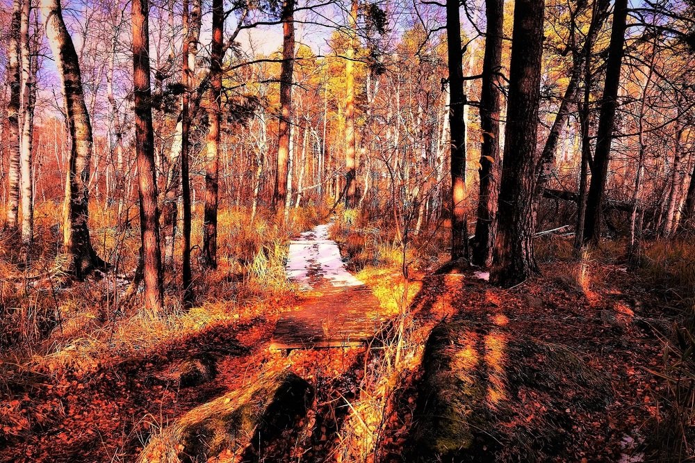 Photograph by Алия Байсыкова