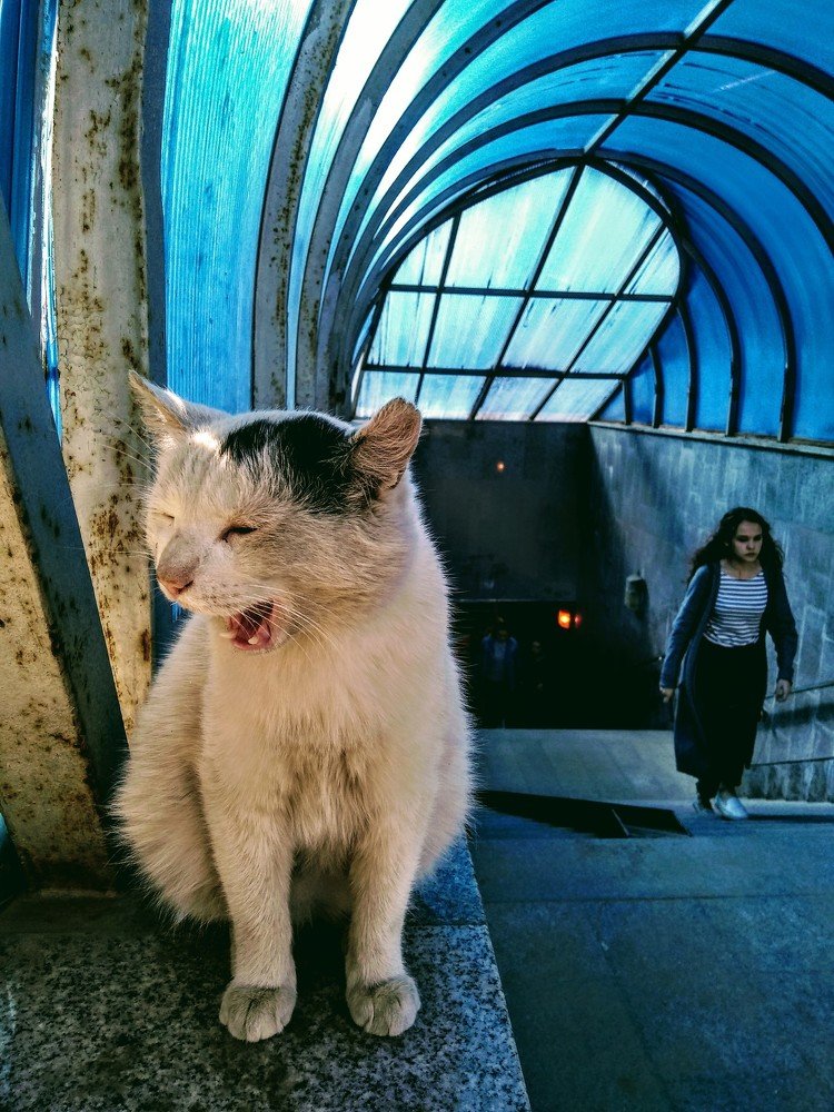 Photograph by Виноградов Василий