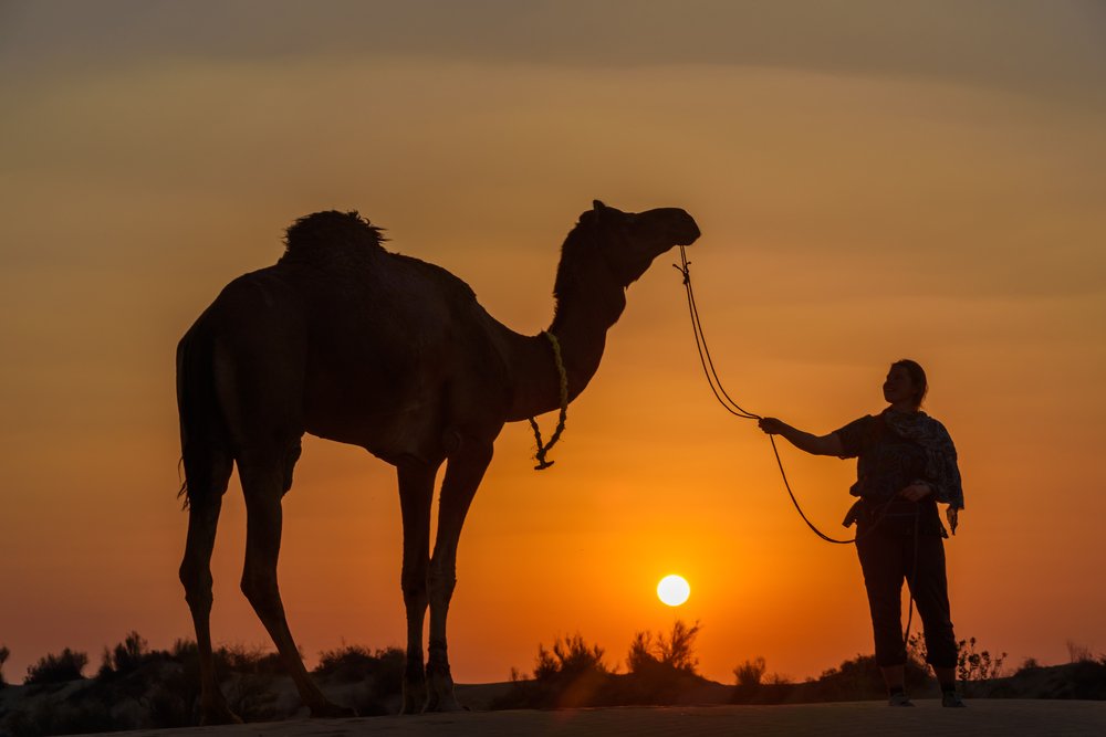 В пустыне Тар