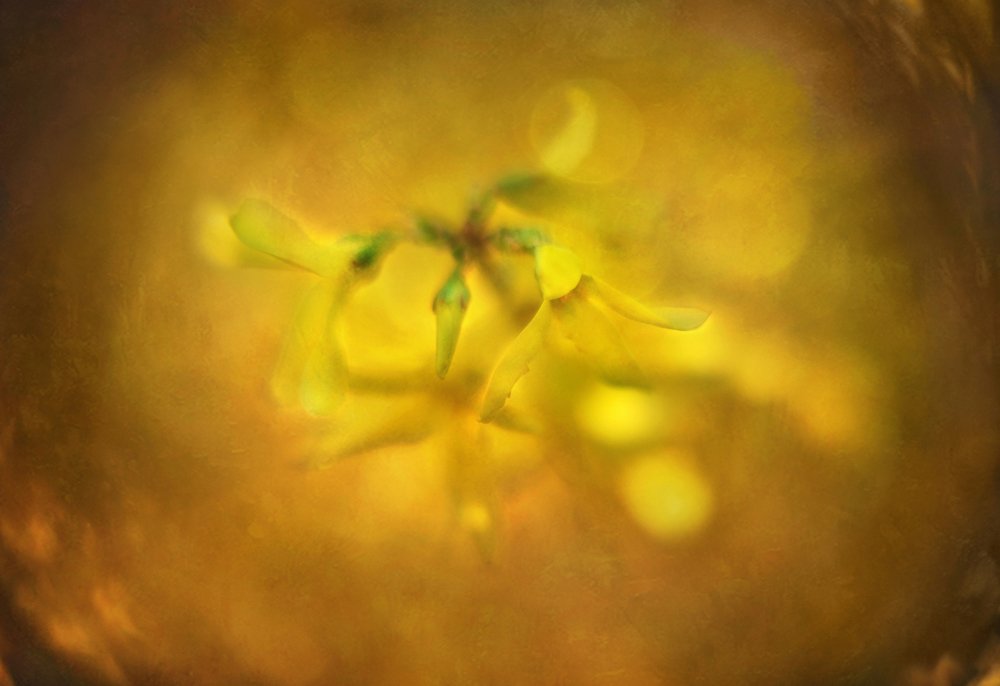 Photograph by Инна Буглак