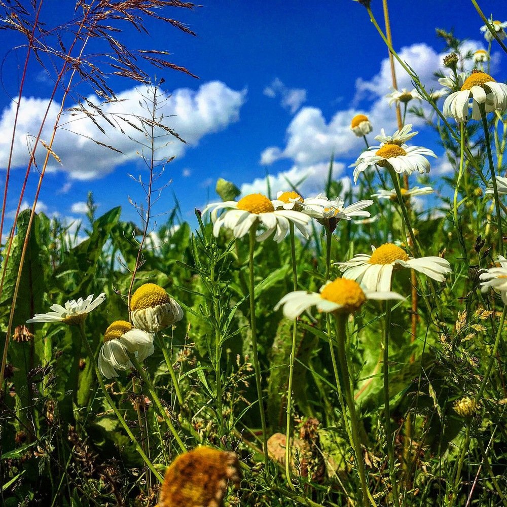 Photograph by Виктория Шваб
