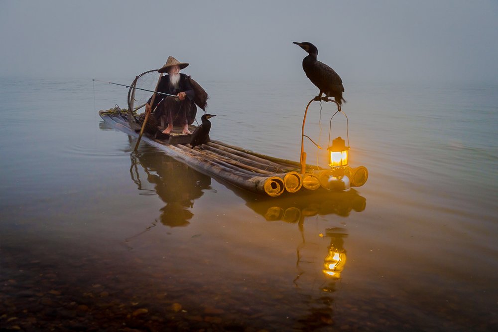 fishing in misty morning