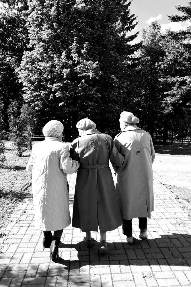 Дружба сквозь века