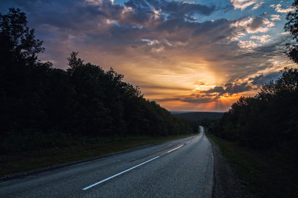 Дорога домой