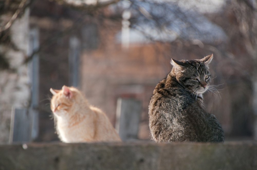 На первом свидании боязно что-то