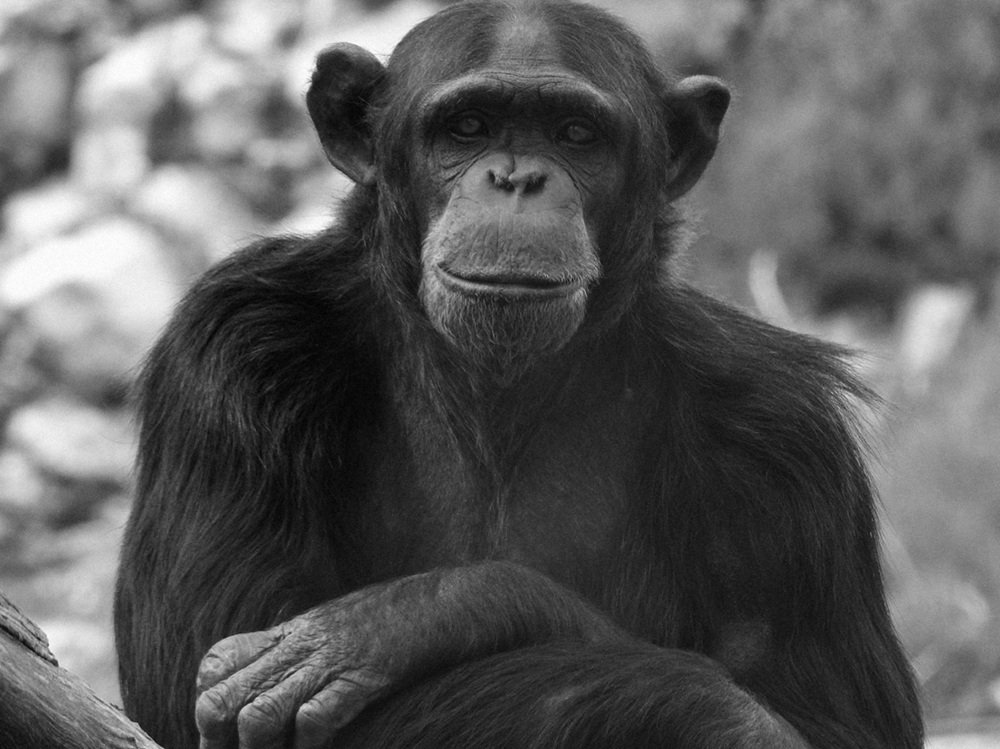 без названия