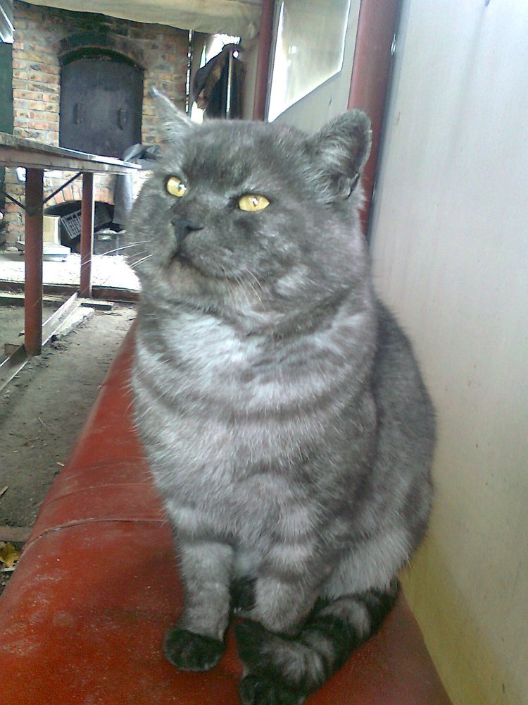 Photograph by Ирина Марченко