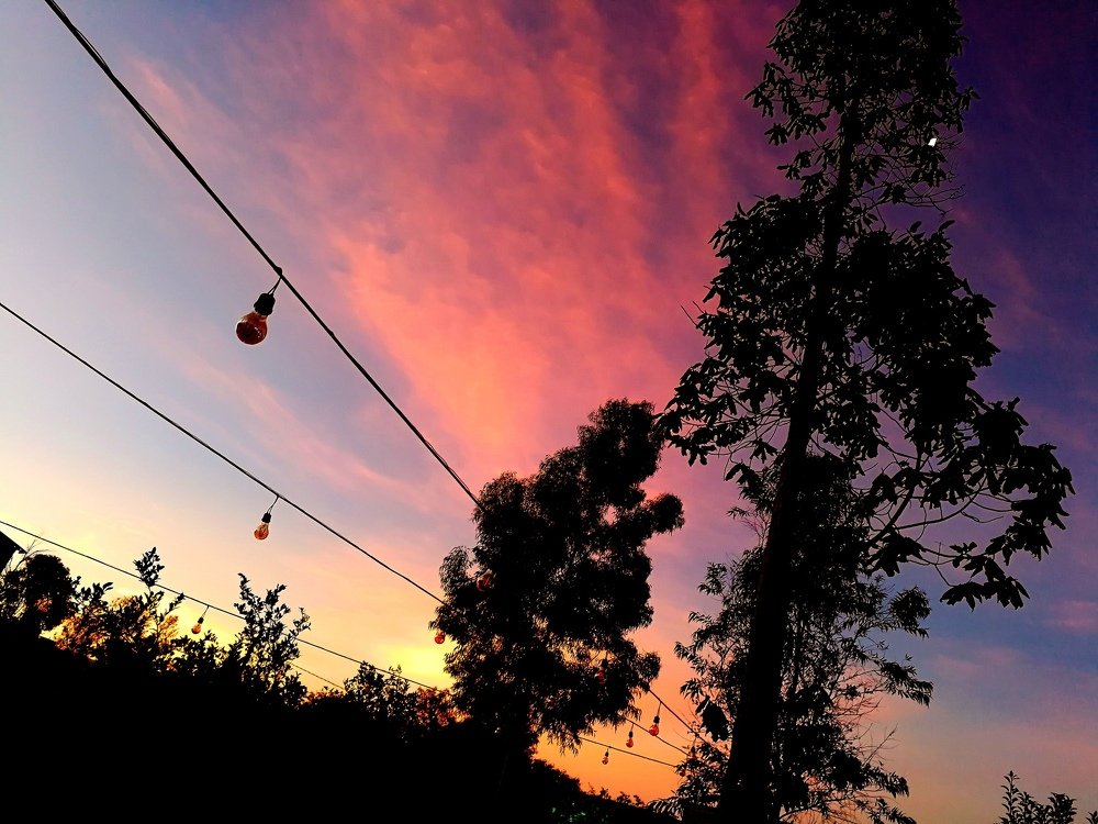 Photo #3430714