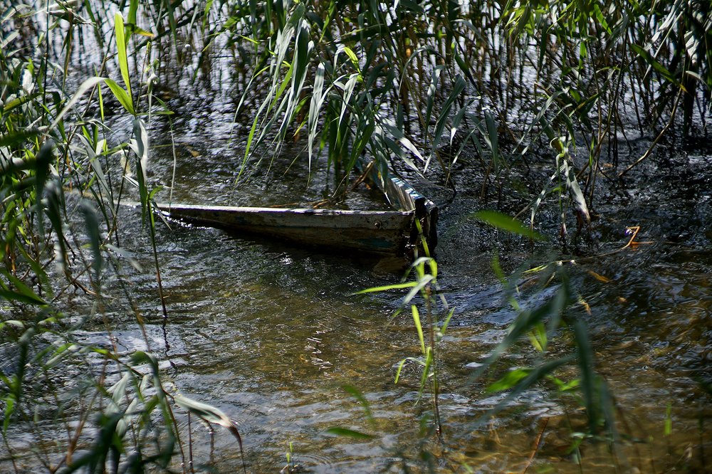 Photograph by Dzianis Mizhui