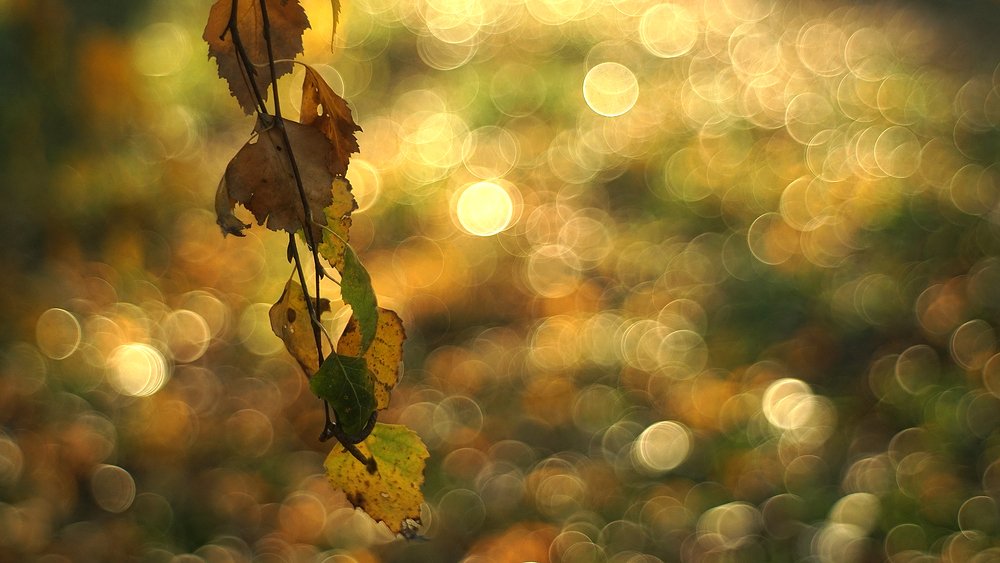 Photograph by Dzianis Mizhui