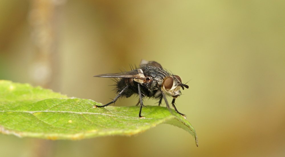 Photograph by Андрей Шартов