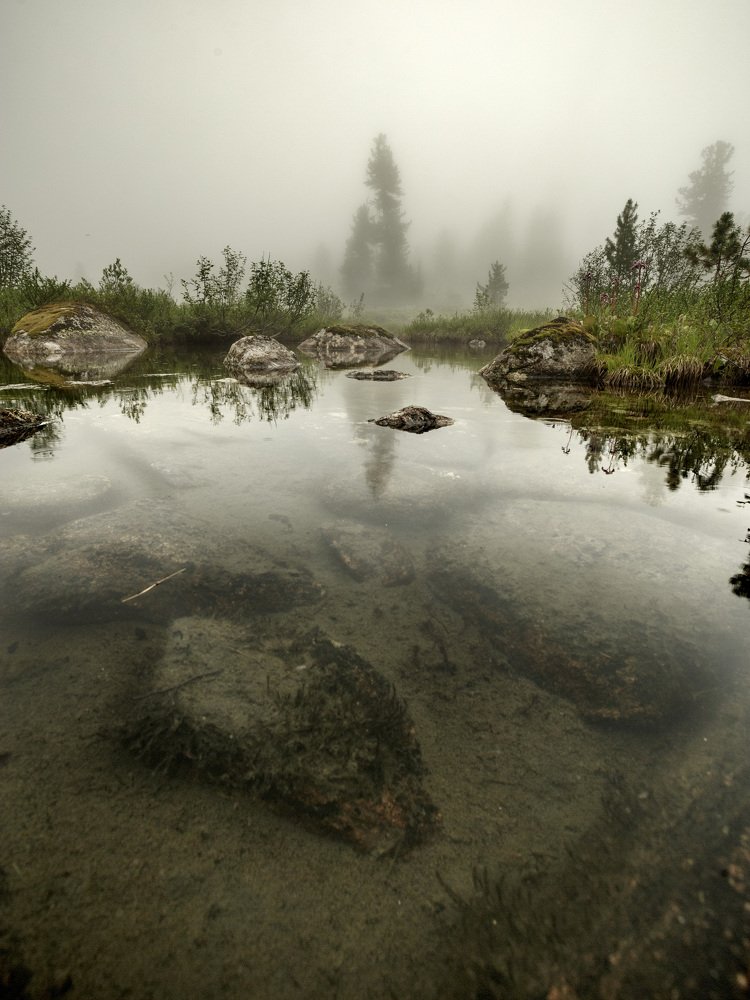 По следам Норштейна