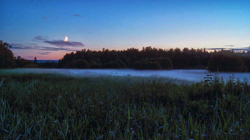 Фотография автора Степан Давыдов