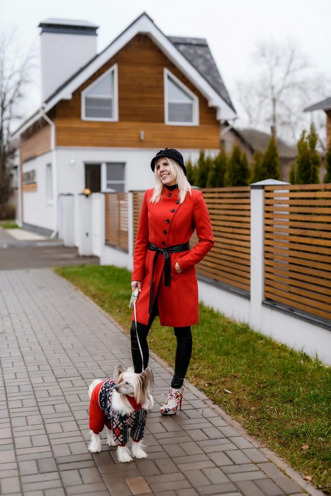 Фешн с собачкой