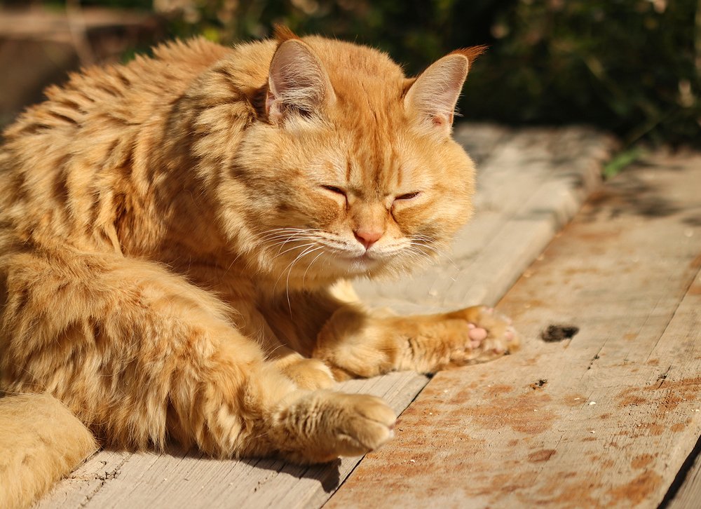 Такое яркое солнце