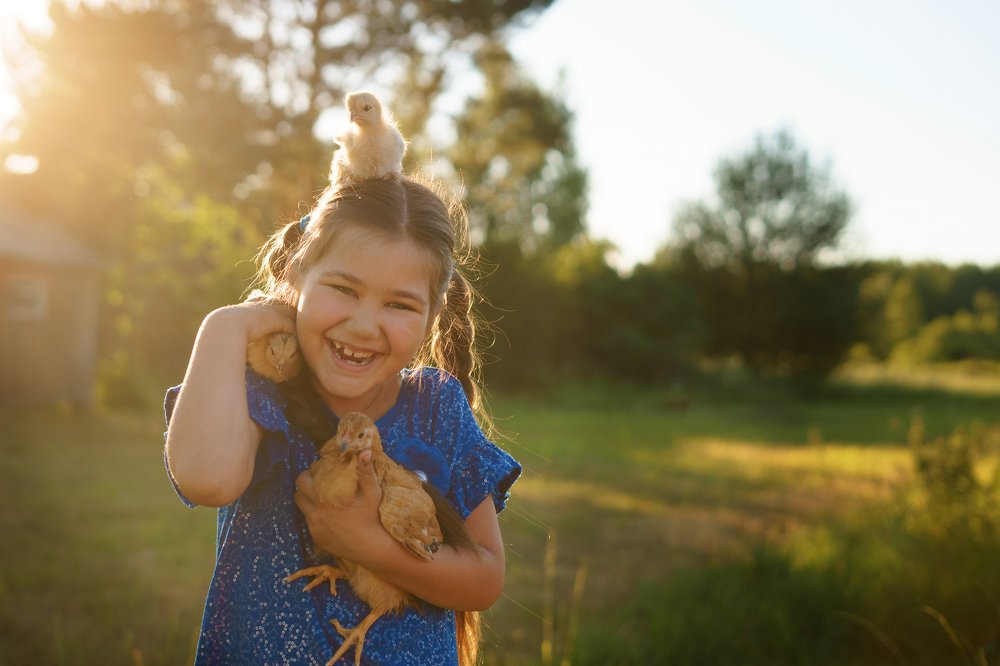 Детки цыплятки