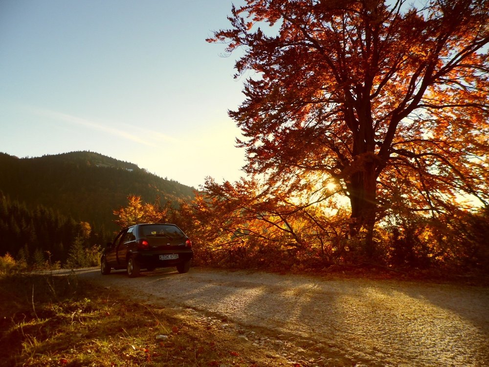 Photograph by Maida Bralić