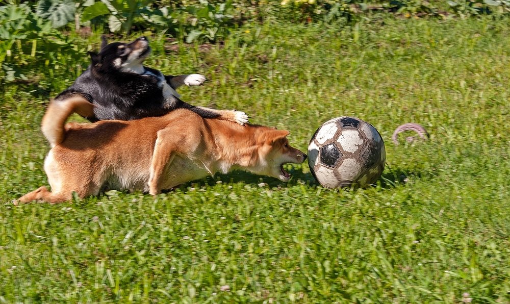 Competent football reception - tackle