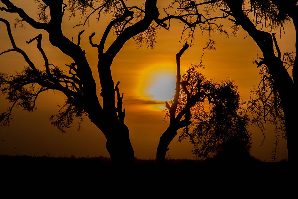 African Sunsets