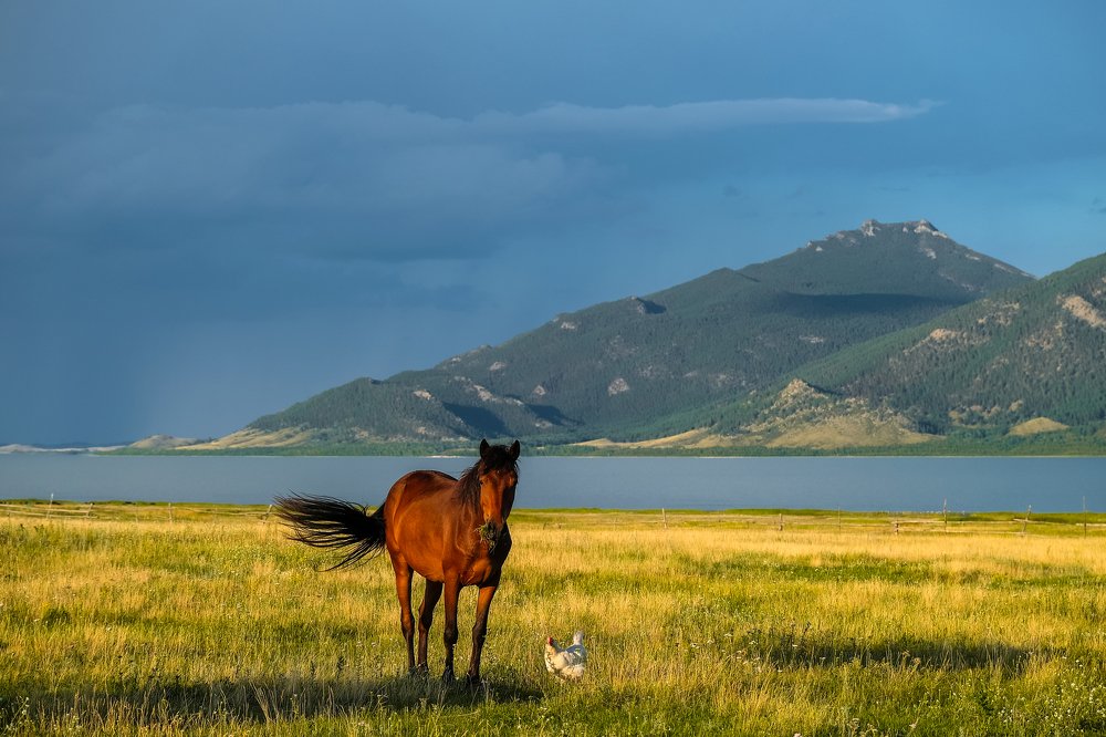 Замрите Вас снимают