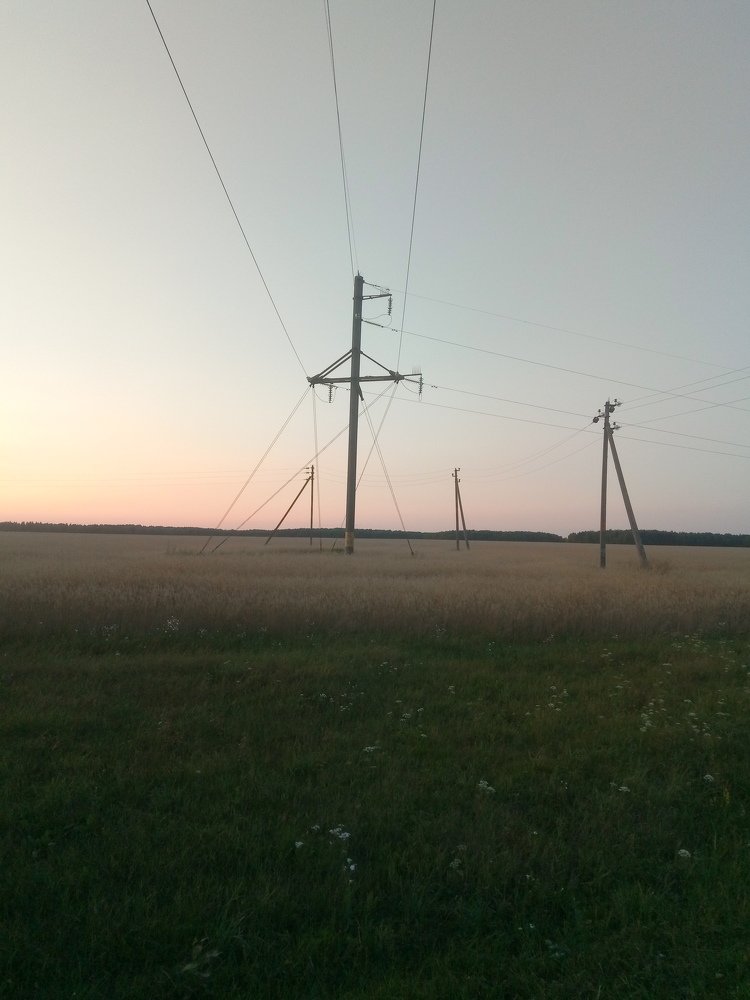 Photo #3431790