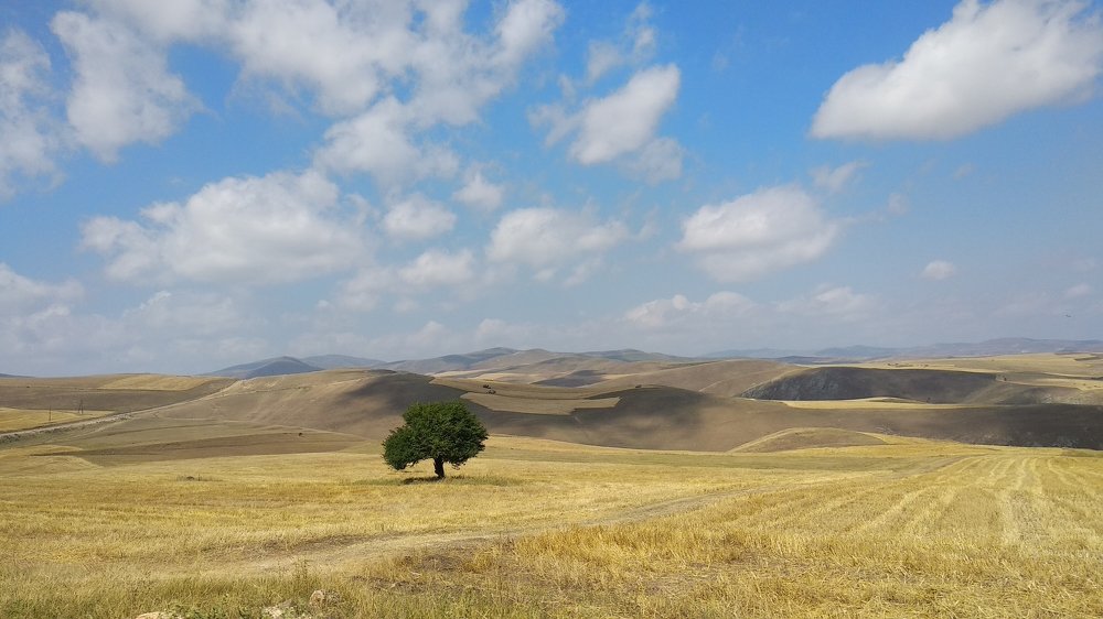 Photograph by Sabuhi Nesibov