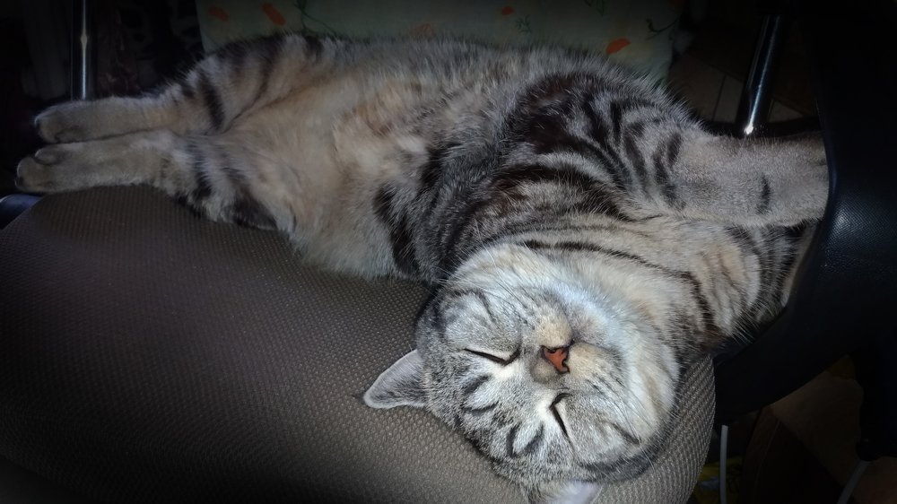 Когда не нужно спешить на работу